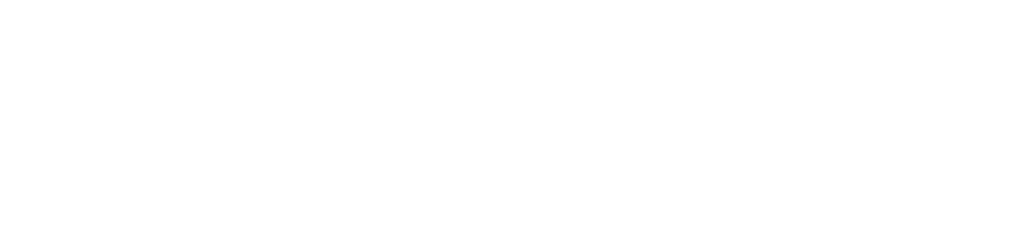 Logo Footer